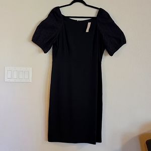 Ann Taylor Dress